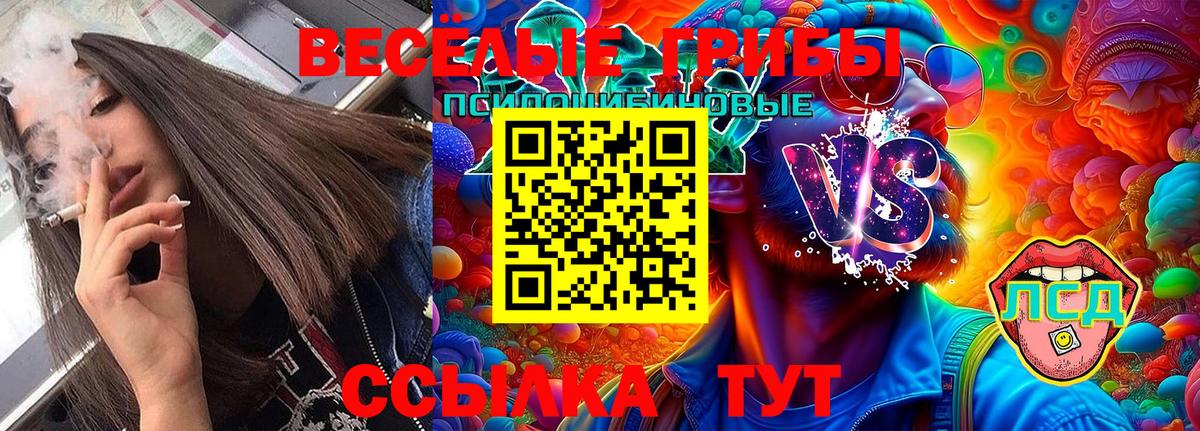Галлюциногенные грибы MAGIC MUSHROOMS  Вход с VPN  Горно-Алтайск 