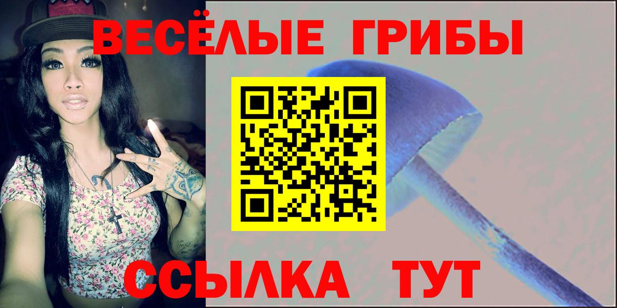Псилоцибиновые грибы Psilocybine cubensis Горно-Алтайск